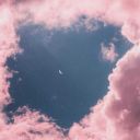 ksfallingthroughlife avatar