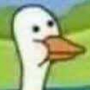 ksjdkdjfkdkdkkd avatar