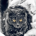 ktoprojivaetnadneokeans avatar