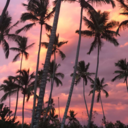 kubrakuskiran avatar