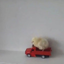 kullanmiyorumcnmsbye avatar