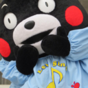 kumakokumamon avatar