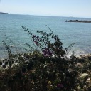 kumdankaleler avatar