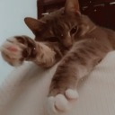 kunaikitty avatar