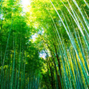 kurisutarufaia avatar