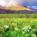 kurobasuanonmeme avatar