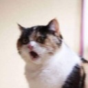 kuroneko247 avatar