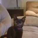 kuronekopower avatar