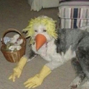 kursedkitties avatar