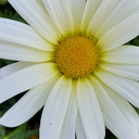 kurtlange-blog avatar