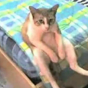 kurvateskadrzavna avatar