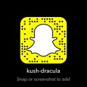 kush-dracula avatar