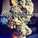 kushblowers avatar