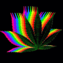 kushnweed420 avatar