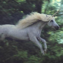 kusuriurii-blog avatar