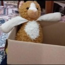 kutudaki1ayucugum avatar