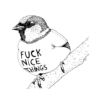 kvailass-blog-blog avatar