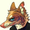 kvltovcoyote avatar