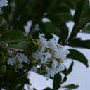 kwhitt101-blog avatar