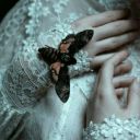 kylieannwrites avatar