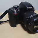 kyotowalkrecord avatar