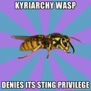 kyriarchywasp-blog avatar