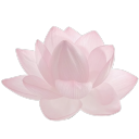 kytheras-dove avatar