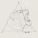 l-e-s-c-a-l-i-e-r avatar