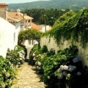 l-etskilltonight avatar