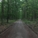 l-i-f-e-is-2-h-a-r-d avatar