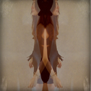 l-i-t-t-l-e---w-i-n-g avatar