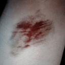 l-u-n-a-p-a-r-k avatar