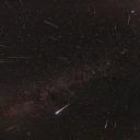 l-wonderland-l avatar