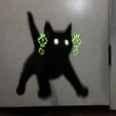 l0cal-lunatic avatar