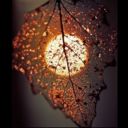 l0st-in-autumn avatar