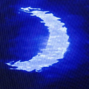 l0ve-bug-m1les avatar