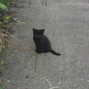 l0veless-kerosene avatar