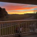 l0vesick-f00l-blog avatar