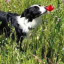 l1ttle-s33dling avatar