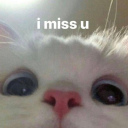 l1ttlemisskitty avatar