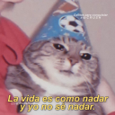 la-mea-vola-conchetumare avatar