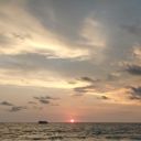 la-mente-miente avatar