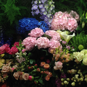 labcoatlife-blog avatar