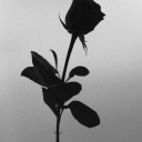 labelledamsansmerci19 avatar