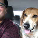 labotellasola avatar