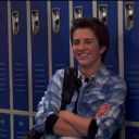 labratsforever avatar