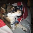 labyrinth-of-knights avatar