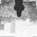 lacafeterademorgana avatar