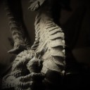 lacertilia-hub avatar