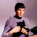 laces-and-cupcakes avatar